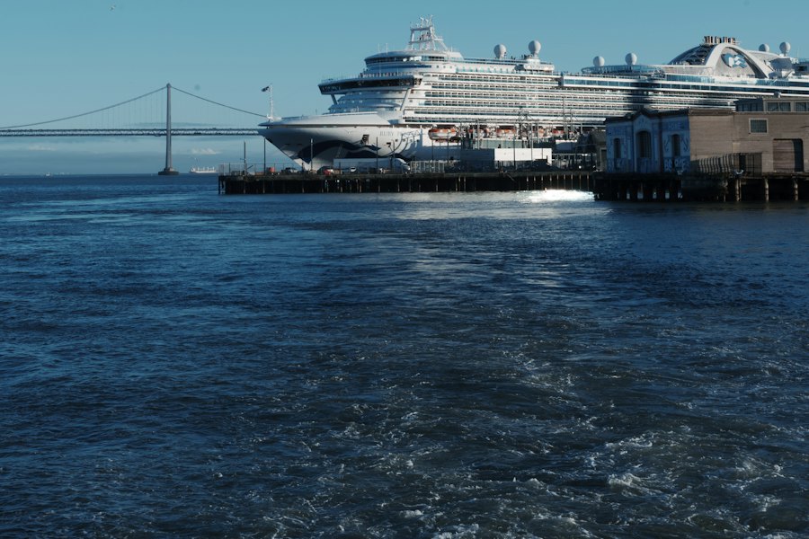 A cruise ship alongside the San Francisco waterfront
